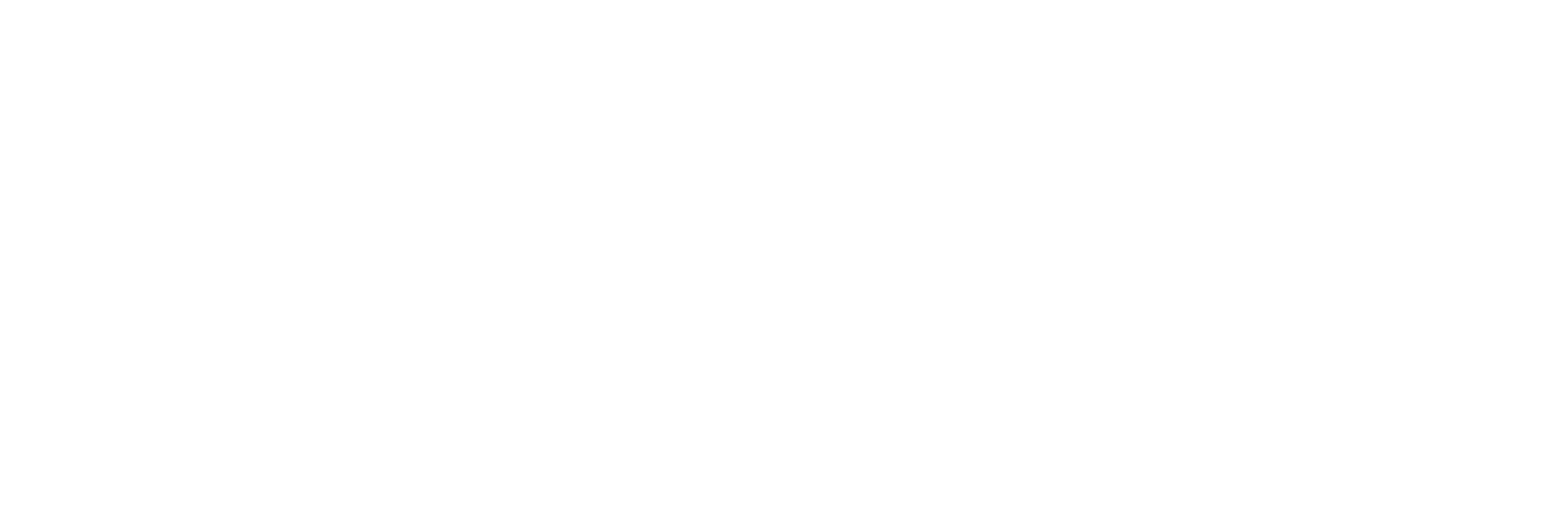 vetpoint-logo-biale